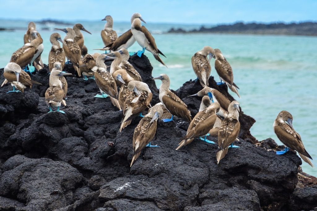 Équateur et les îles Galapagos boat