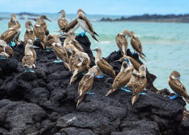 Passion Équateur et les îles Galapagos