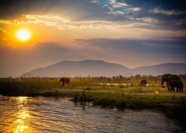 Botswana - Zambie - Les Chutes Victoria (Zimbabwe)