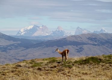 Ushuaia - El Calafate (vol)