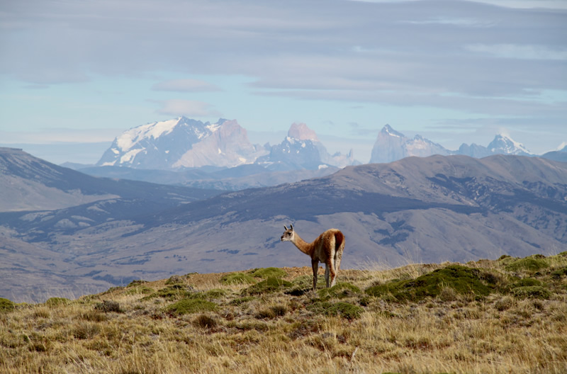 Ushuaia  El Calafate (vol)