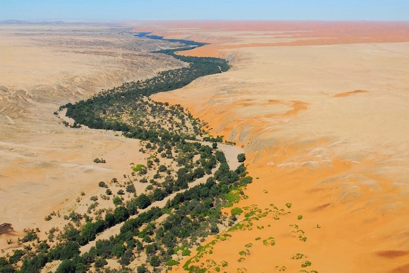 Namib-Naukluft -  Swakopmund