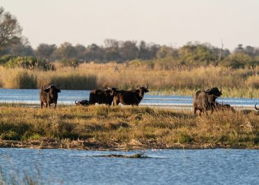 Etosha - Rundu