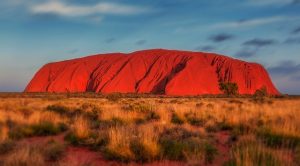 Découvrez le top 5 des animaux emblématiques d'Australie