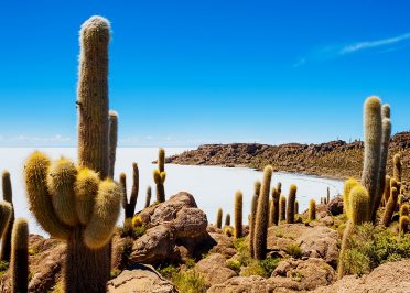 Uyuni - San Pedro de Quemez