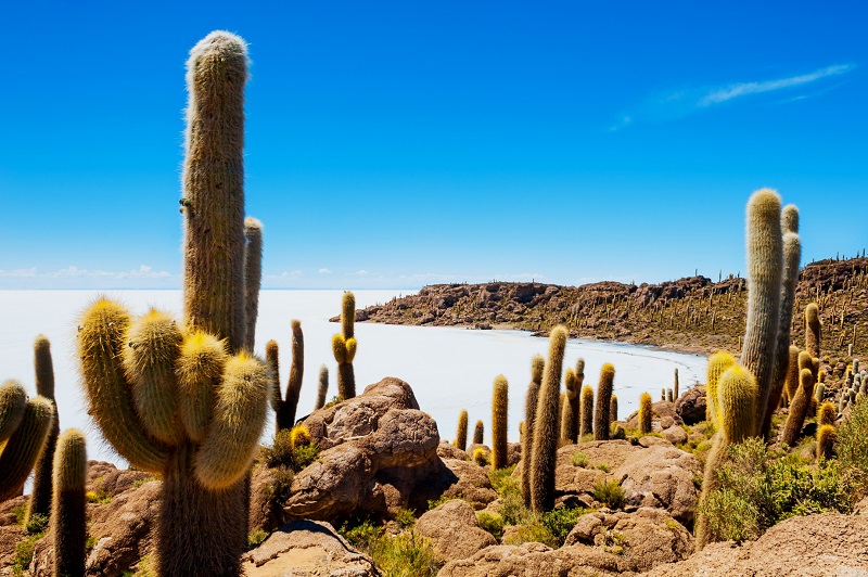 Uyuni - San Pedro de Quemez