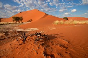 Le désert du Namib, un paysage spectaculaire