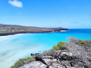 La Beauté des Îles Galápagos
