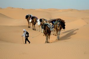 Tunisie : un joyau d'Afrique du Nord