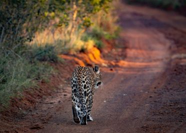 Zanzibar - Vol de retour à Montréal