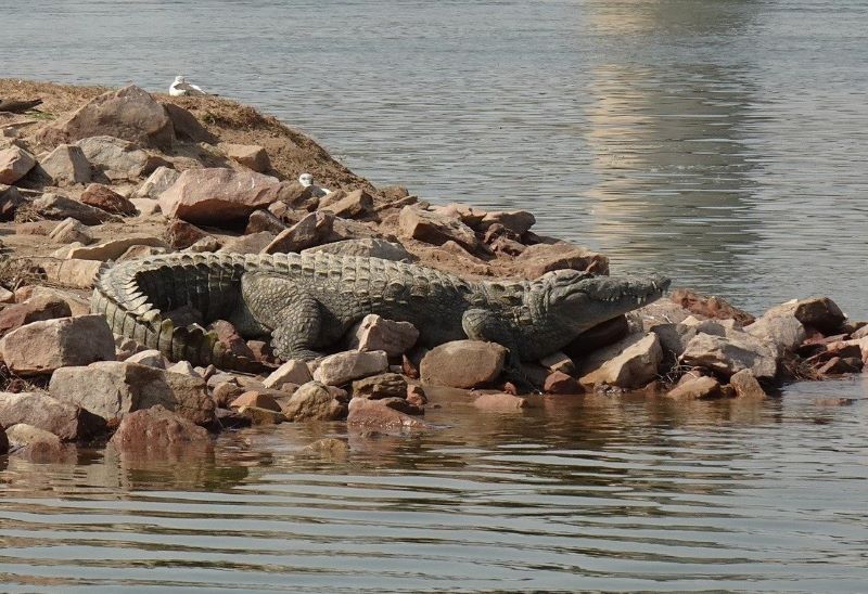 Agra Chambal - Lucknow