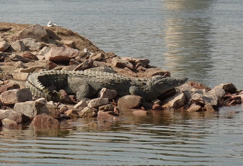 Agra  Chambal - Lucknow