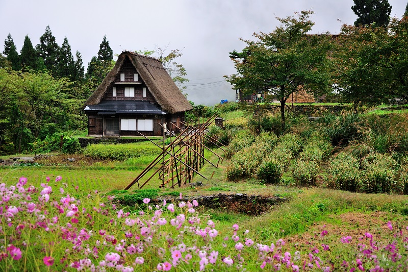 Takayama  Shirakawago - Kanazawa