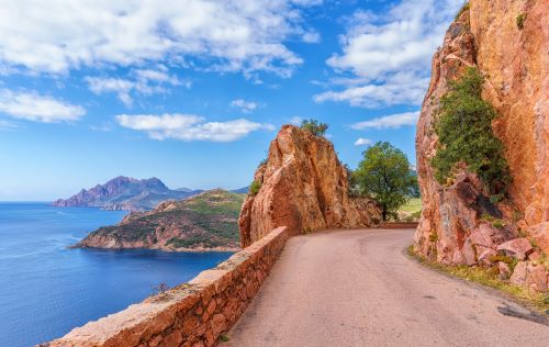 Calvi  Porto - Réserve de Scandola - Piana - Ajaccio