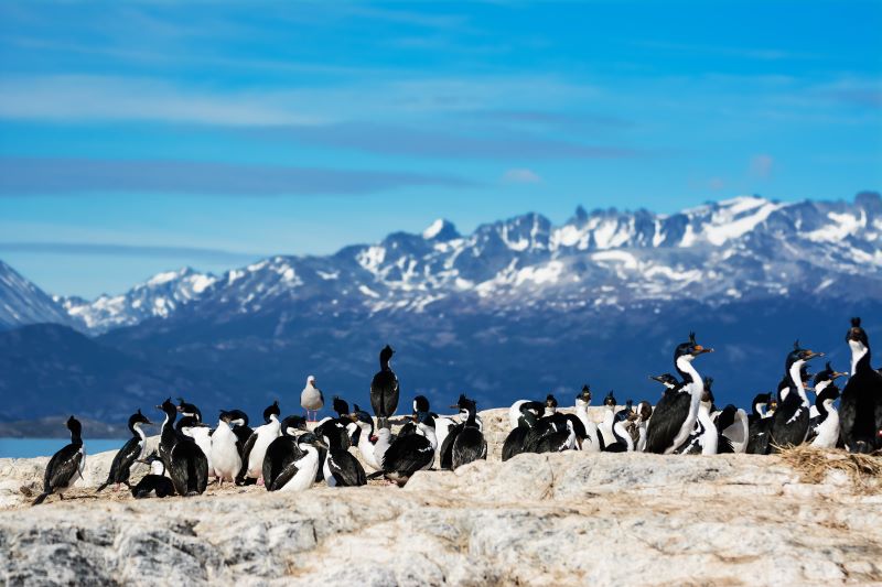 Ushuaia