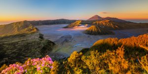 5 raisons de visiter Bali et l'Indonésie