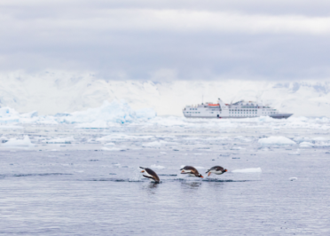 Navigation en Péninsule Antarctique