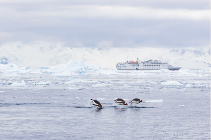 Navigation en Péninsule Antarctique