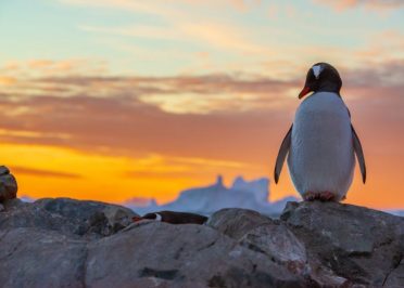 Navigation en Péninsule Antarctique