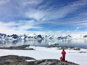 L'Antarctique : à la découverte du plus fascinant des continents de la planète