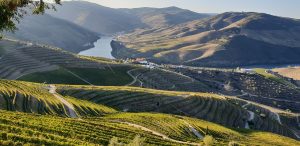 La Vallée du Douro : voyage au coeur du vin