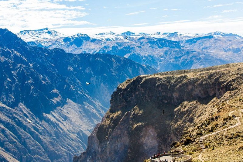 Arequipa  Canyon de Colca