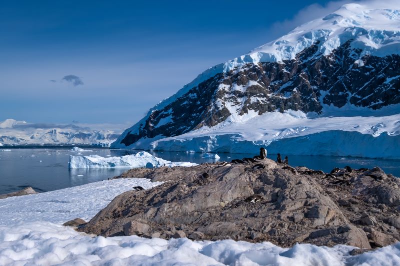 Navigation en Péninsule Antarctique