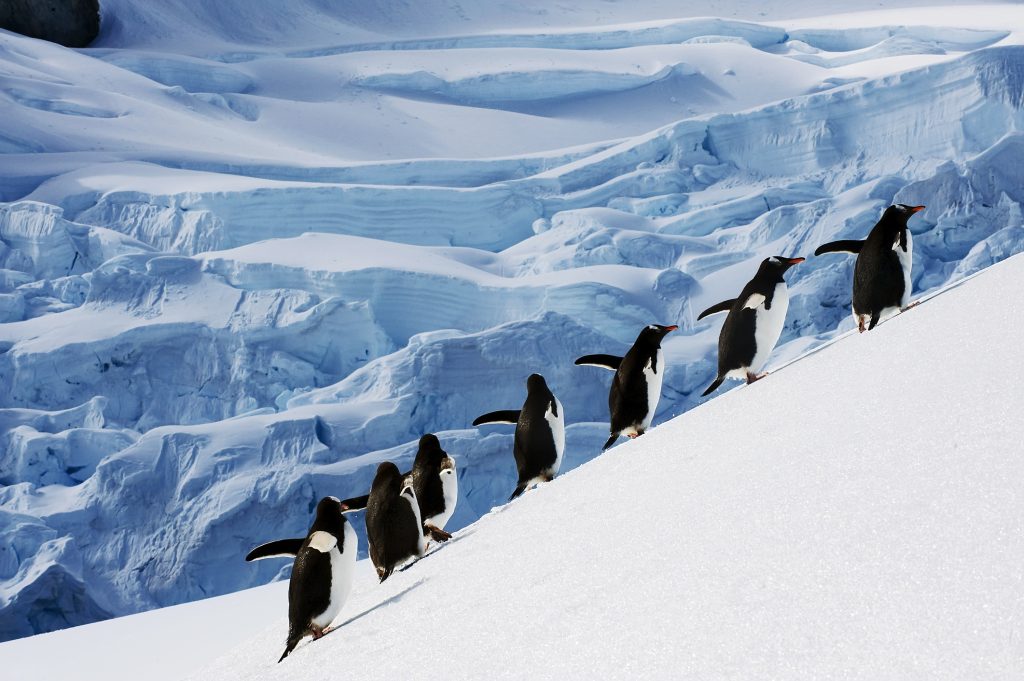 Croisière Expédition Antarctique boat