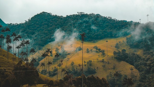 planifier un voyage en colombie