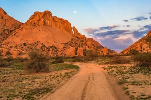 Le Damaraland : à la rencontre de la beauté sauvage de la Namibie