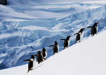Croisière Expédition Antarctique (Croisière seulement)