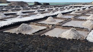 À la découverte des salines de Ston en Croatie : Un trésor naturel et historique