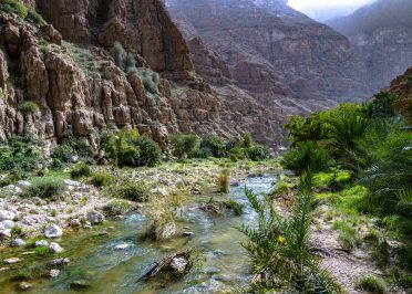 Mascate - Wadi Shab - Sur - Ras al Hadd