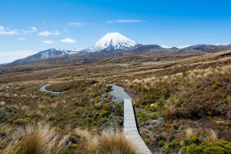 Rotorua - Tongariro