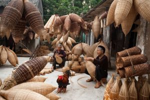 Explorez le Vietnam dans toute sa splendeur avec Passion Monde