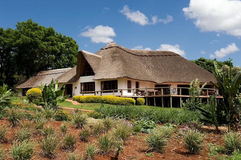 Amboseli - Karatu