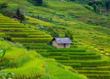 Sapa - Y Linh Ho - Lao Chai - Ta Van