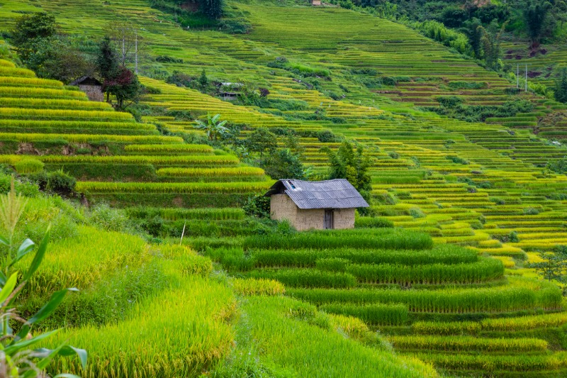 Sapa - Y Linh Ho - Lao Chai - Ta Van