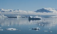 Croisière Expédition Antarctique (Croisière seulement)