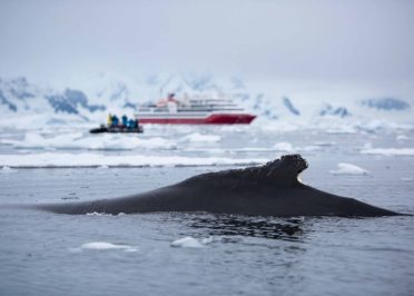 Navigation en Péninsule Antarctique