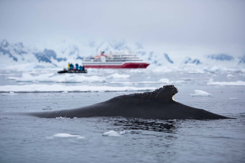 Navigation en Péninsule Antarctique