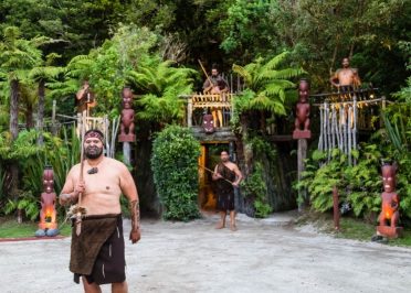 Auckland - Rotorua