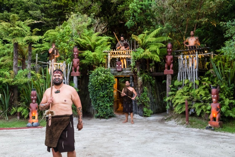 Auckland Rotorua