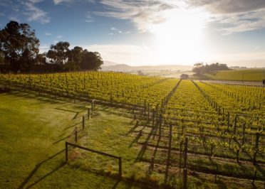 Melbourne - Yarra Valley