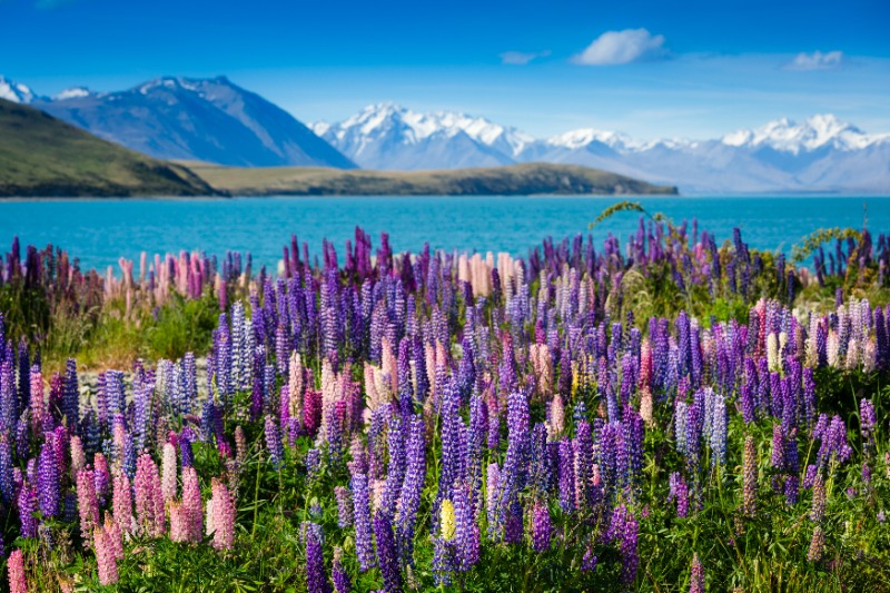 Wanaka Christchurch