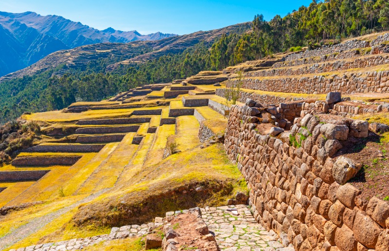 Cuzco  Awana Kancha - Pisac - Urubamba