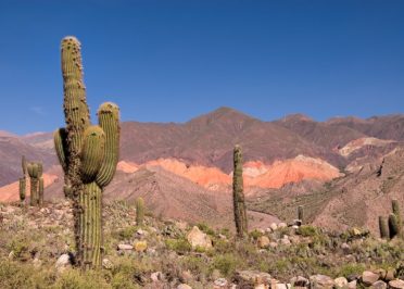 Purmamarca - Humahuaca - Salta
