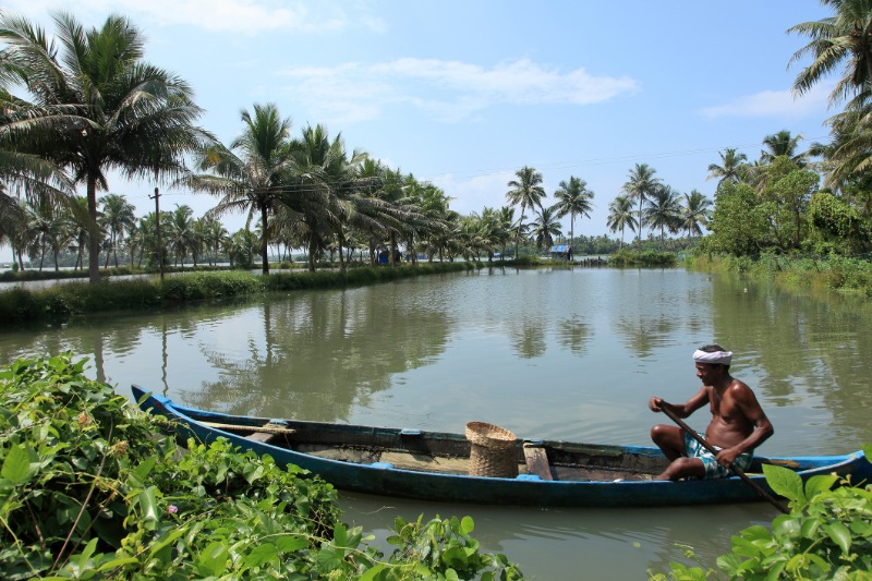 Cochin - Kumbalangi - Cochin