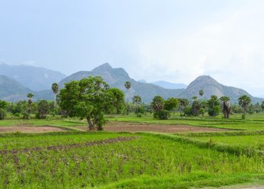 Palakkad
