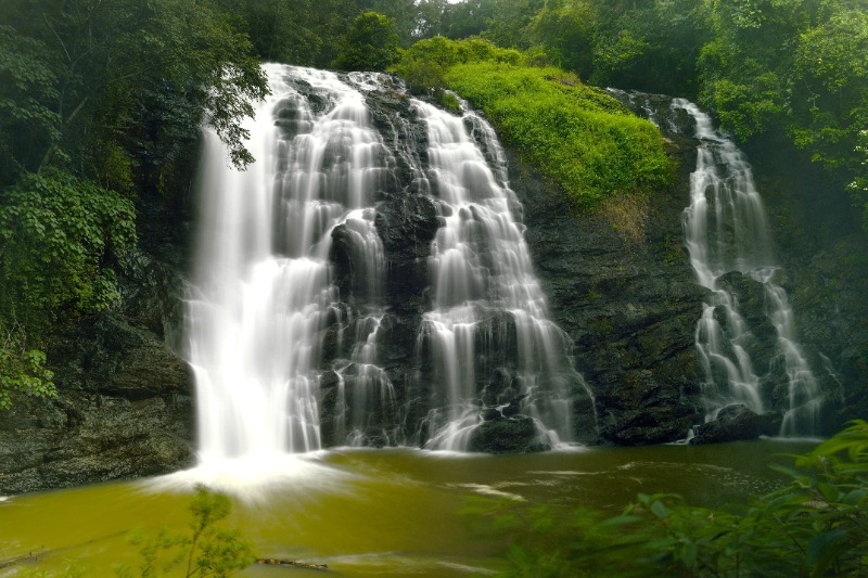 Bandipur - Coorg